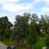 Blick von der Terrasse